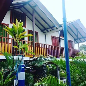 https://hotel-brisas-del-pacifico.cali-hotels.com